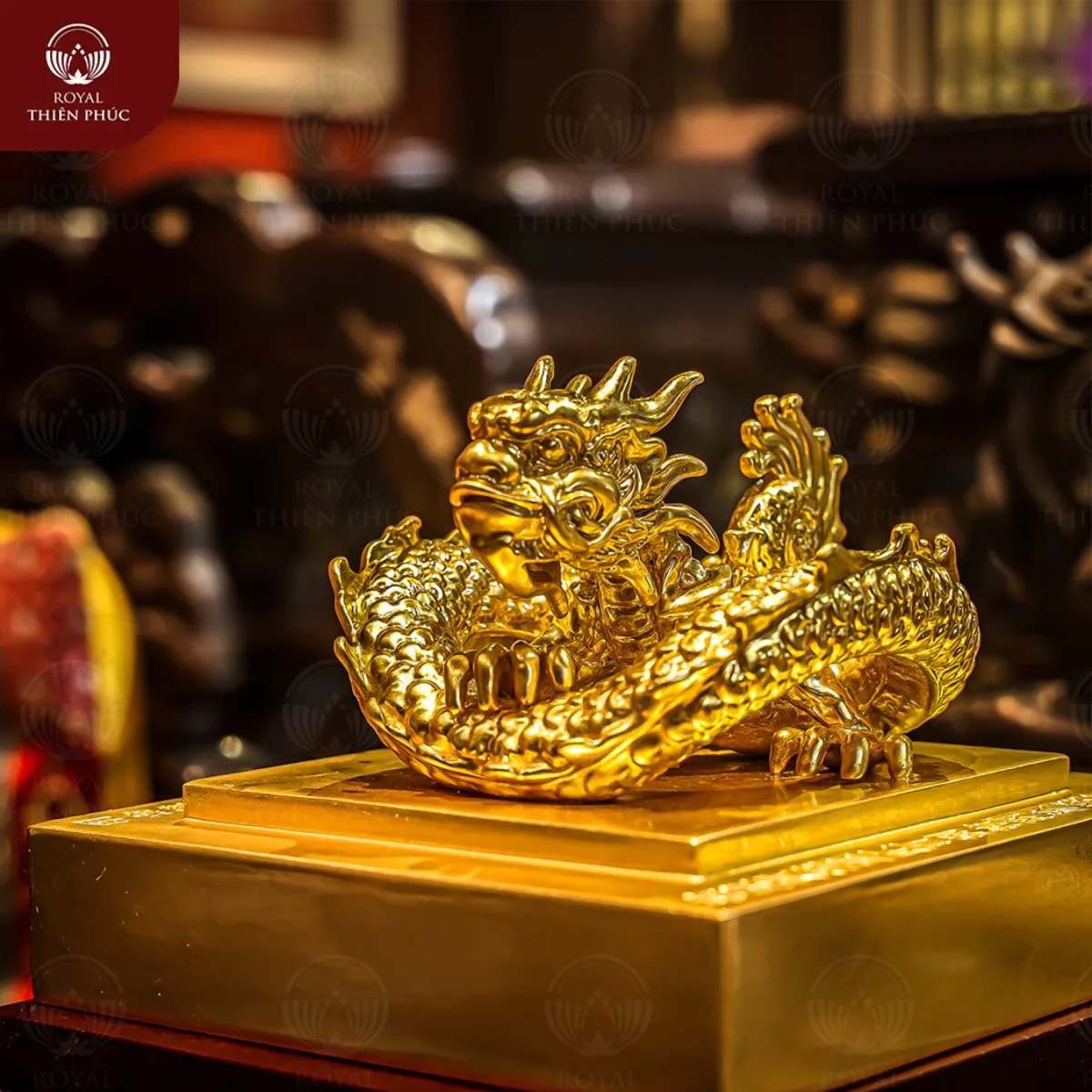 Ấn rồng phong thuỷ