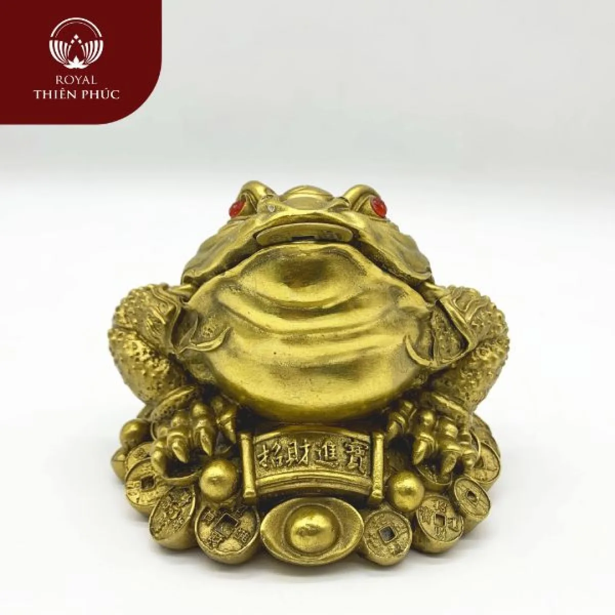 Cóc Ngậm Tiền Là Gì? Ý Nghĩa Trong Phong Thủy