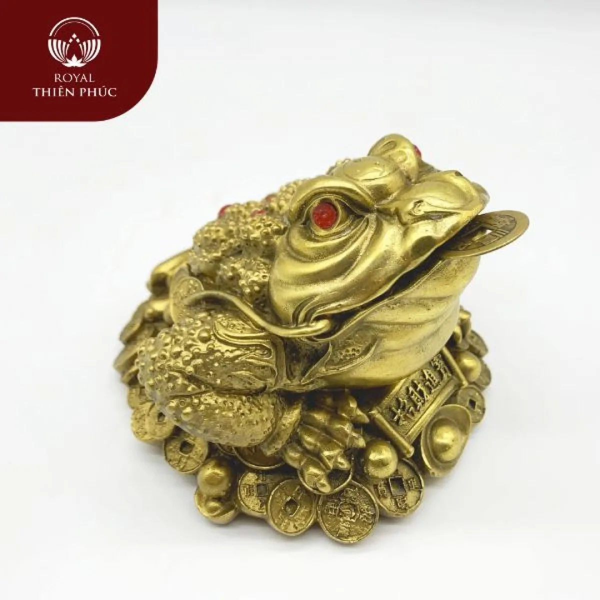 Cách Khai Quang & Thỉnh Cóc Ngậm Tiền Để Linh Nghiệm