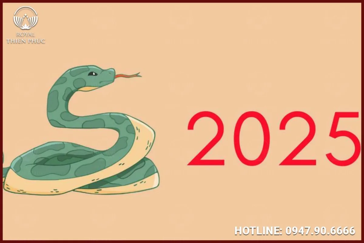 Năm 2025 là năm gì?