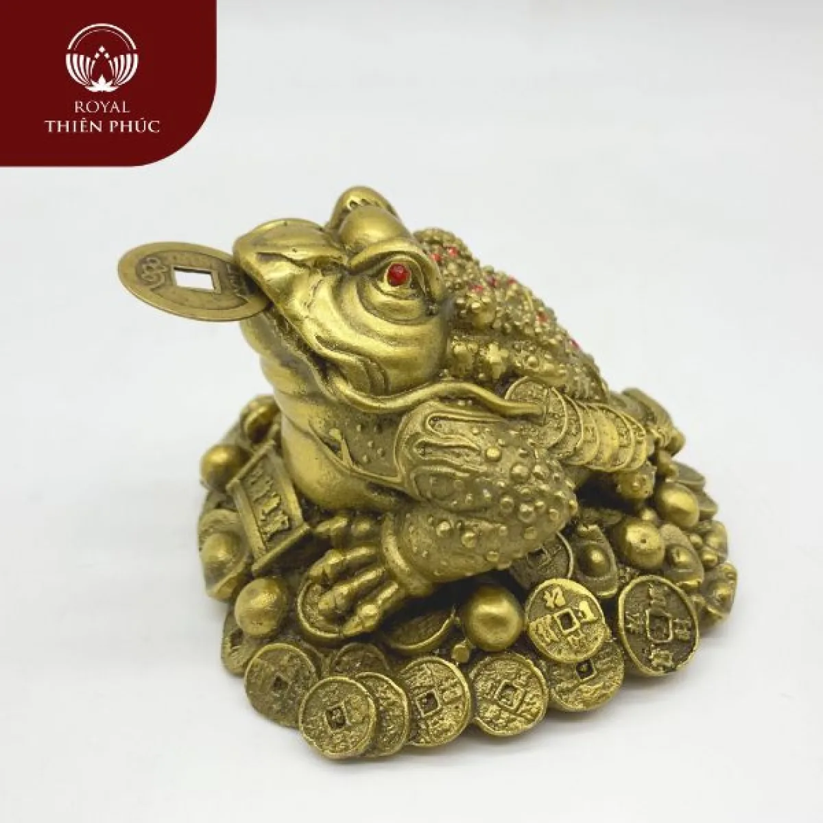 Cách Đặt Ông Cóc Và Tỳ Hưu Tại Bàn Thờ Thần Tài Đúng Chuẩn