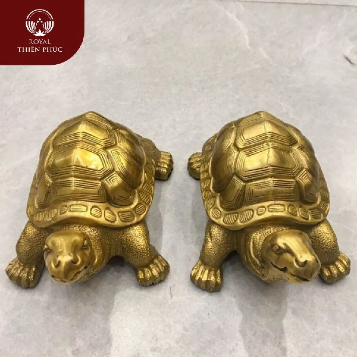 Gia chủ có nên đặt tượng rùa trong nhà không ?