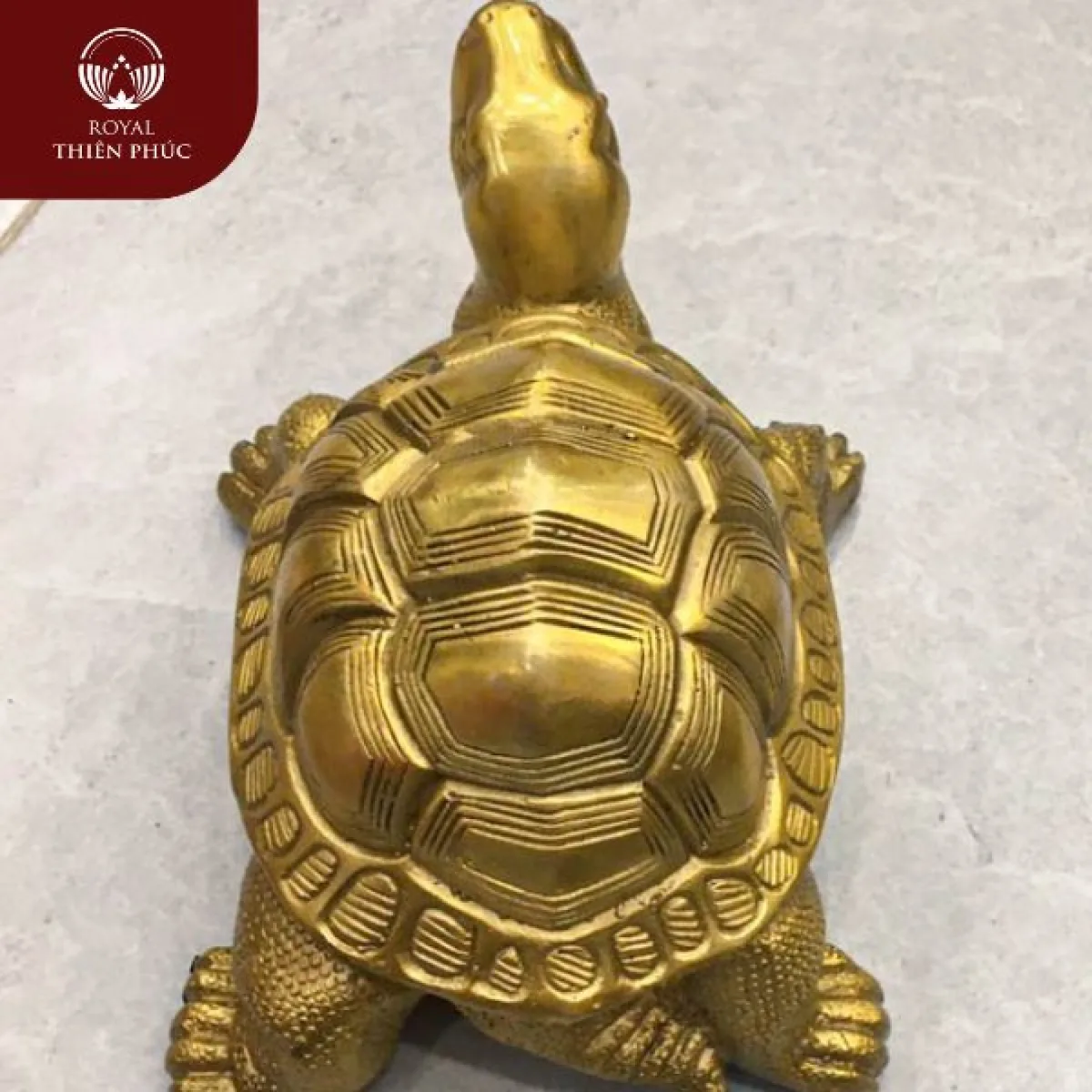 Gia chủ có nên đặt tượng rùa trong nhà không ?