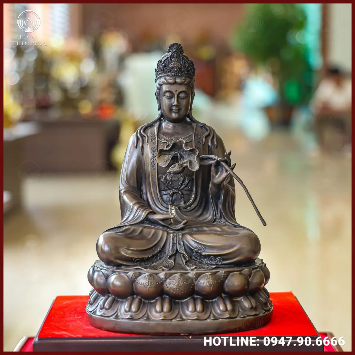 Tạo hình cân đối hài hòa