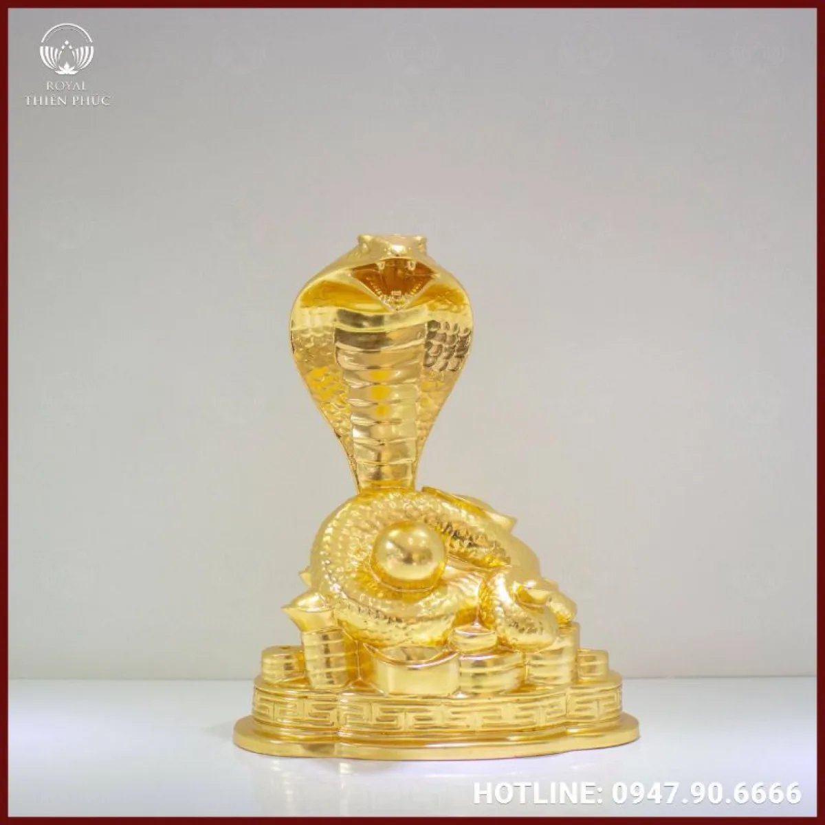 Phân loại tượng rắn bằng đồng